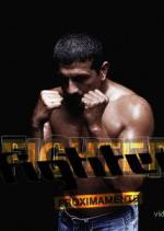 Fighter