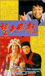 Wang fu cheng long