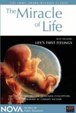 The Miracle of Life
