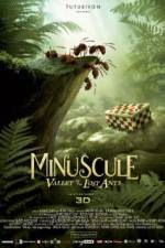 Minuscule - La vallée des fourmis perdues