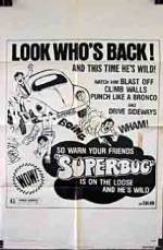 The Love Bug Rally