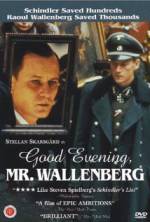 Good Evening, Mr. Wallenberg