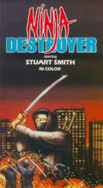 Ninja Destroyer