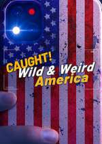 Wild &amp; Weird America