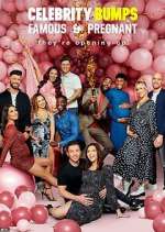 Celebrity Bumps: Famous &amp; Pregnant